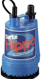 clarke_hippo_pump