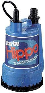 clarke_hippo_pump